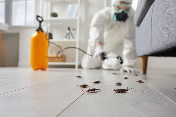 Commercial Kitchen Cockroach Control in Wahoo